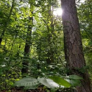 Meet your Posher, Adrianna